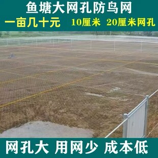 鱼塘专用防大鸟尼龙材质加粗线防鸟网螃蟹泥鳅水产养殖天网防护网