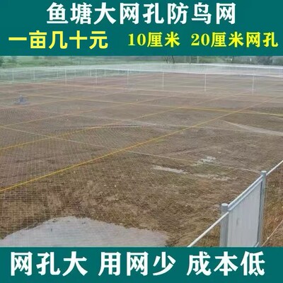 鱼塘防大鸟尼龙材质加粗线防鸟网