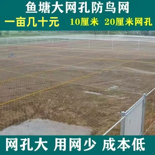 鱼塘防大鸟尼龙材质加粗线防鸟网