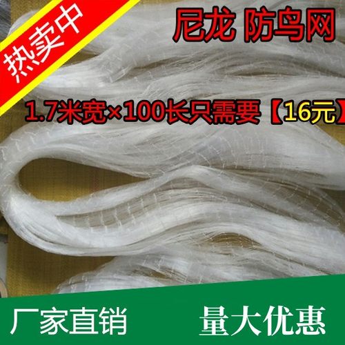 果园防鸟网防护网天网