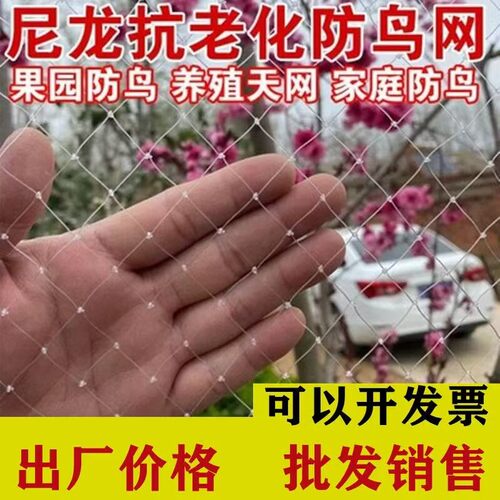 尼龙材质果园防鸟网小网孔果园防护网葡萄地防鸟网樱桃蓝莓抗老化
