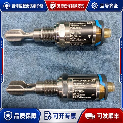 议价E+H 恩德斯豪斯 音叉液位计 FTL31系列可维修