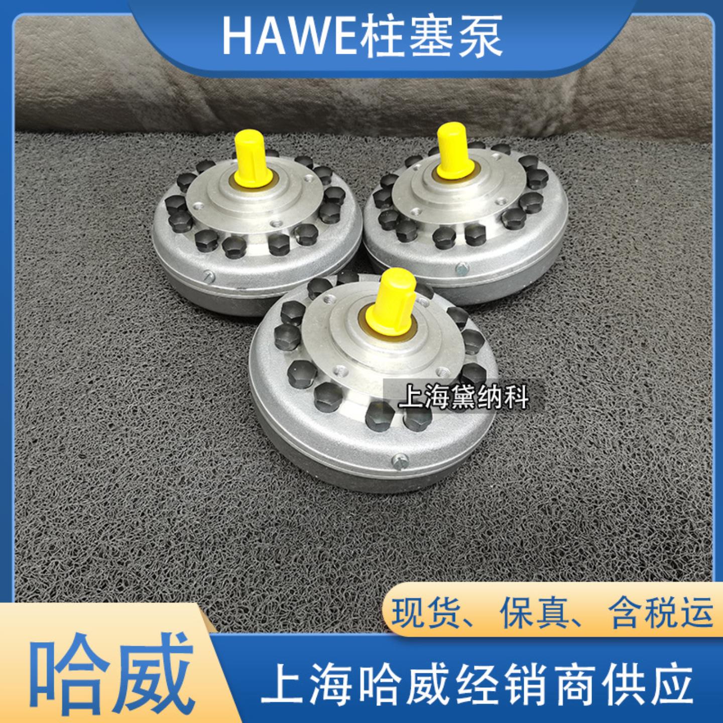 哈威6012系列单排缸泵R 40进口德国HAWE液压泵供应R系列