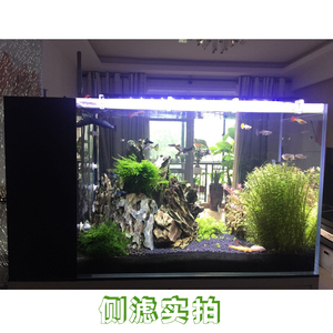侧滤金晶超白鱼缸客厅小型桌面懒人免换水智能生态水族箱玻璃金鱼