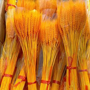 精品金黄色麦穗干花束装饰花大麦穗花开业天然花花篮插花花店专供