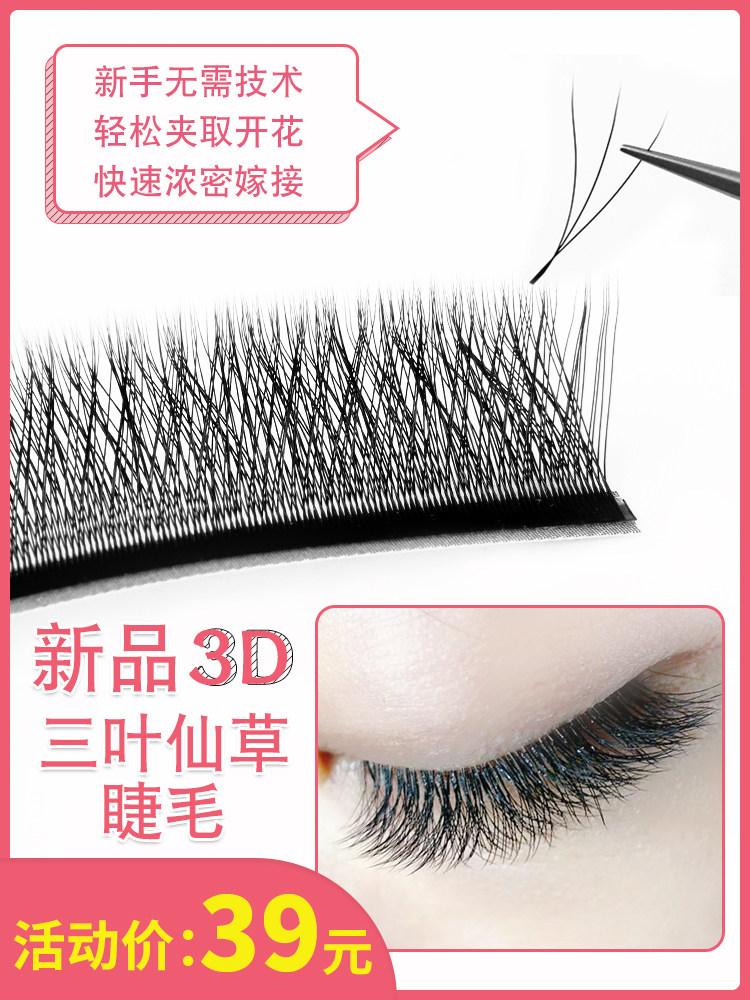 三叶草睫毛成品开花3d仙朵网状种植自然w超软貂毛仙女海神花美睫