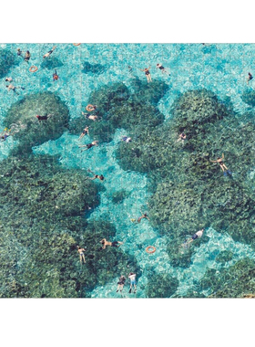 （现货）galison繁忙海滩 珊瑚礁 格雷马林双面拼图500片美国进口