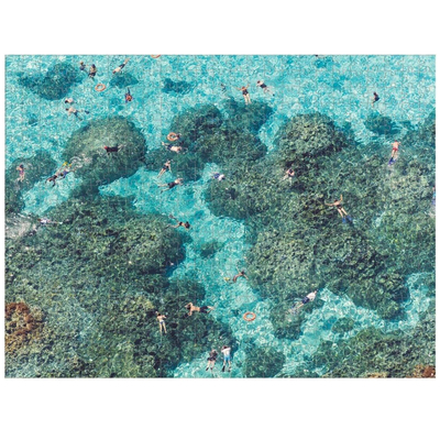 galison繁忙海滩珊瑚礁双面拼图