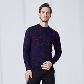 羊毛衫 男秋冬新品 中青年时尚 奥古利奥 保暖厚款 圆领针织套头