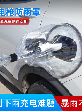 比亚迪元PLUS海豚D1E2唐秦宋汉EV电车充电口枪桩防水保护防雨罩