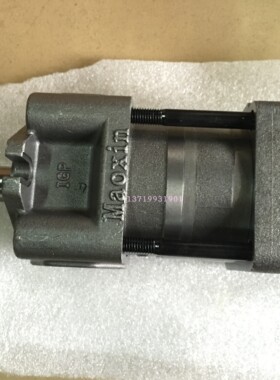 伺服齿轮泵IGP6-M125-SF IGP6-M100-SF IGP6-M080-SF节能伺服泵