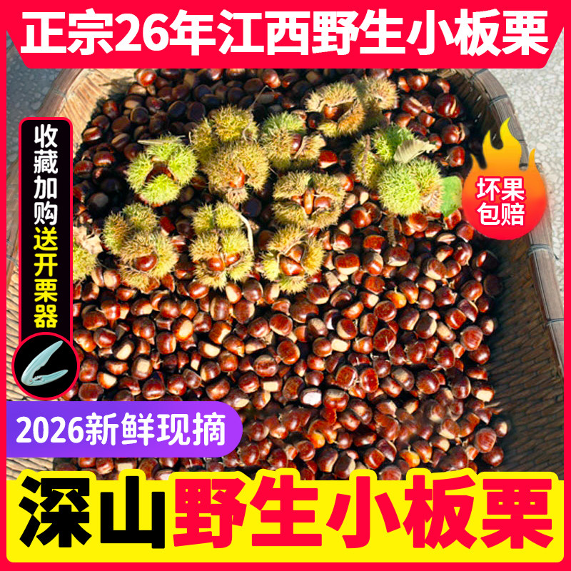 板栗生新鲜2026年野生小板栗毛栗子江西特产现摘油栗甘栗送剥栗器