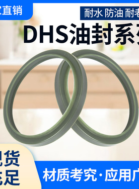 高端进口油封DHS98*105*100*110*105*115*112*122*8