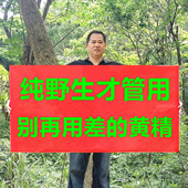 广西纯野生黄精中药材正品 九蒸九晒新鲜九制泡酒养生茶老虎姜辟谷