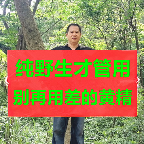 纯野生九蒸九晒黄精高含量无添加