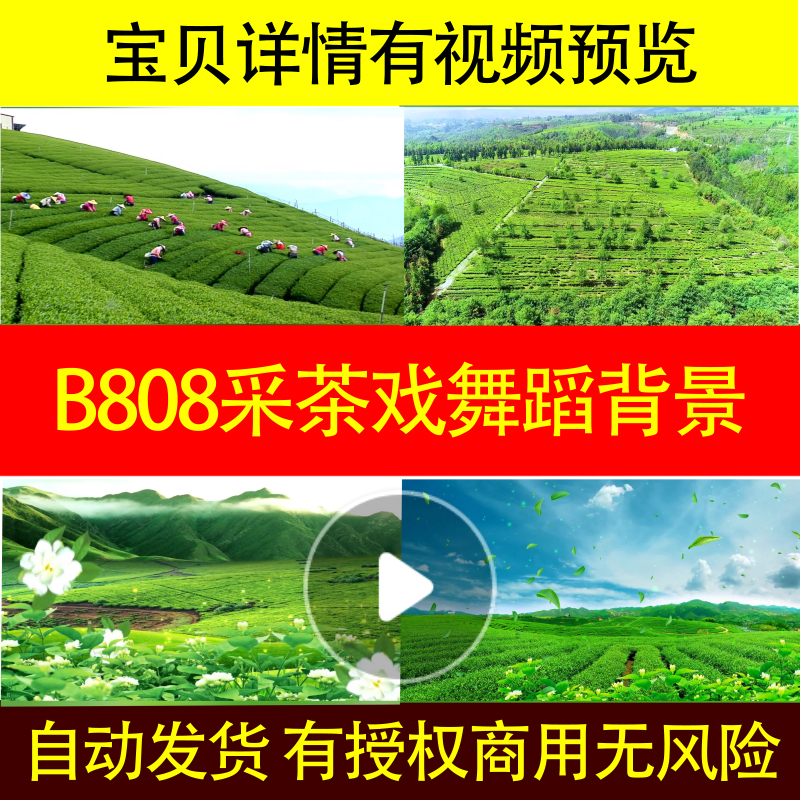 B808采茶戏舞蹈背景茶园茉莉花采茶舞曲LED背景视频l歌曲舞蹈