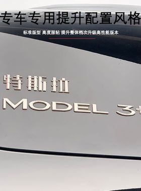 适用于特斯拉Model3Y车标机盖标替换金属黑色前后车TESLA中文标志