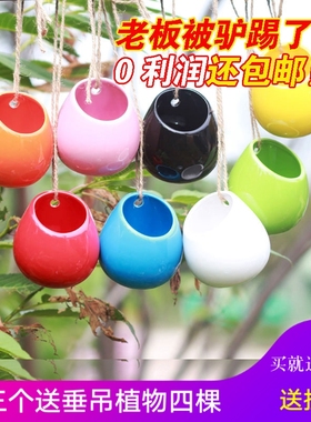 多肉爱之蔓吊兰花盆 白色陶瓷吊盆 植物壁挂盆植物挂盆包邮