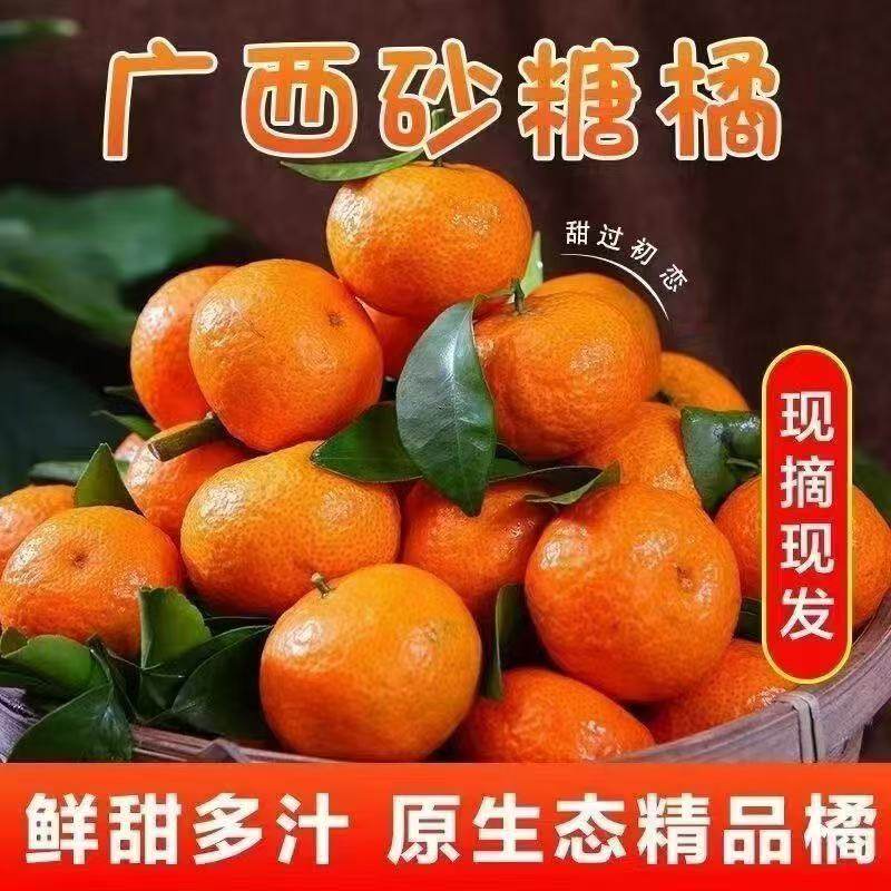 广西沙糖桔薄皮桔子砂糖橘小橘子新鲜包邮甜整箱柑橘当季水果,水产肉类/新鲜蔬果/熟食,桔子,淘宝优惠券,粉丝福利购,淘宝优惠卷