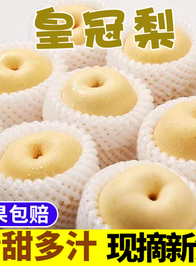 皇冠梨新鲜梨子5斤青梨整箱水果包邮砀山梨雪香酥脆梨白梨甜梨10
