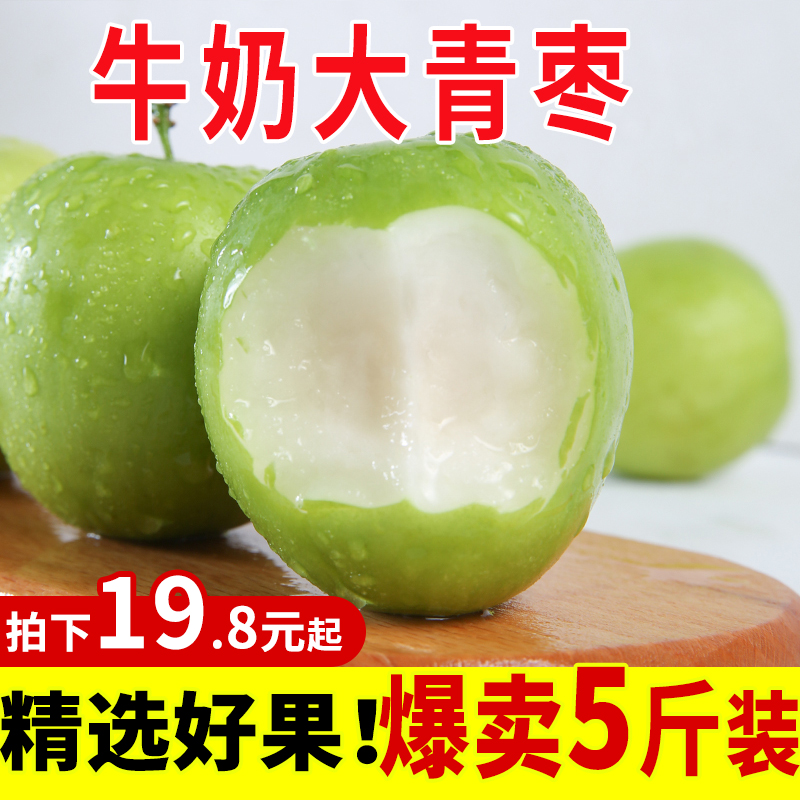 牛奶枣大青枣水果包邮 新鲜5斤整箱台湾应季3脆特大蜜枣冬枣子10