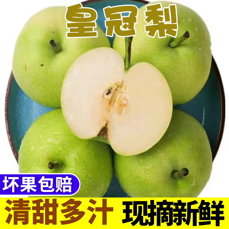 皇冠梨新鲜梨子5斤青梨整箱水果包邮砀山梨雪香酥脆梨白梨甜梨10_虎窝淘