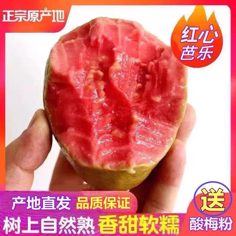 红心芭乐番石榴 芭乐果新鲜包邮10 当季热带红肉芭乐水果净重5斤