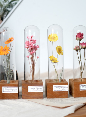 植物标本干花玻璃试管罩摆件实木底座永生花创意礼物教师节生日