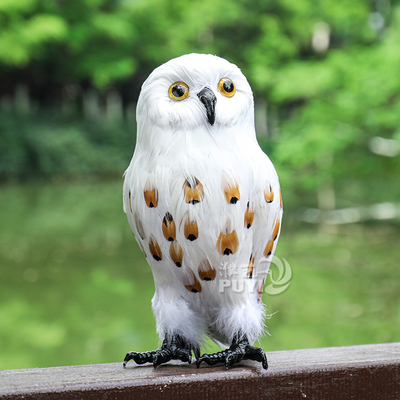 【仿真猫头鹰】羽毛鸟雪鸮摆件哈利波特cos万圣节摄影道具工艺品