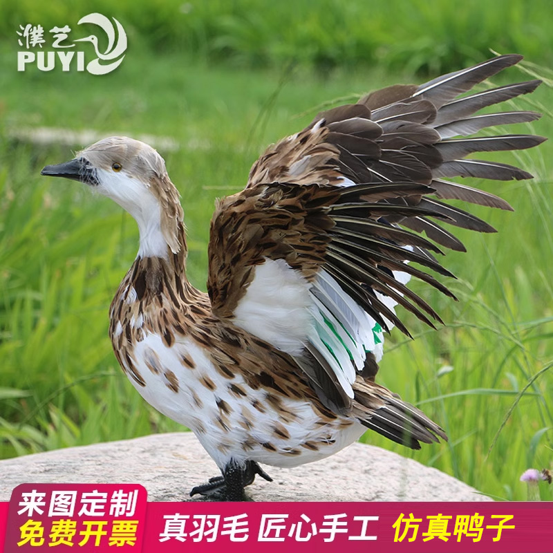 【仿真羽毛鸭子】家鸭水鸭园动物模型林景观装饰教学道具户外摆件