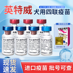 英特威四联犬用4联防疫疫苗狗四联疫苗犬瘟细小防疫成犬疫苗单针