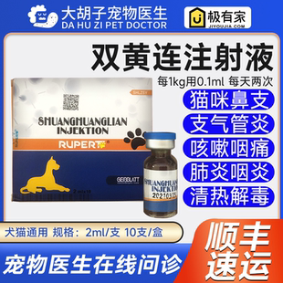 双黄连注射液宠物病毒性感冒犬猫肺炎扁桃体炎咳嗽流鼻涕退烧退热