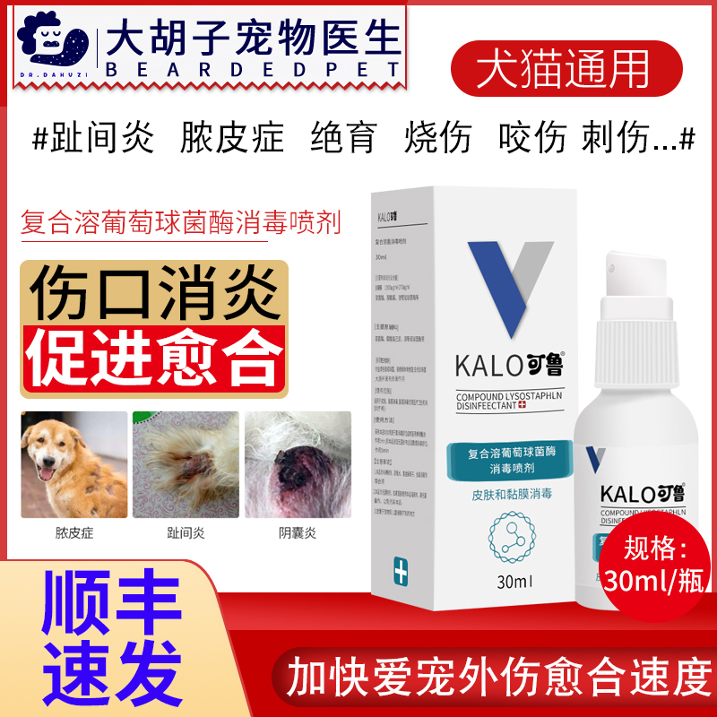 一种含溶菌酶的犬猫口腔护理喷剂及其制备方法与流程