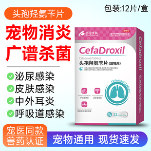 宠物头孢羟氨苄片狗狗猫咪消炎药犬猫专用感冒药尿路脓皮症中耳炎