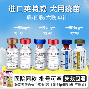 荷兰进口英特威狗狗二联疫苗宠物成犬幼犬246联四联狂犬预防针
