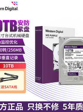 WD西部数据监控紫盘10t