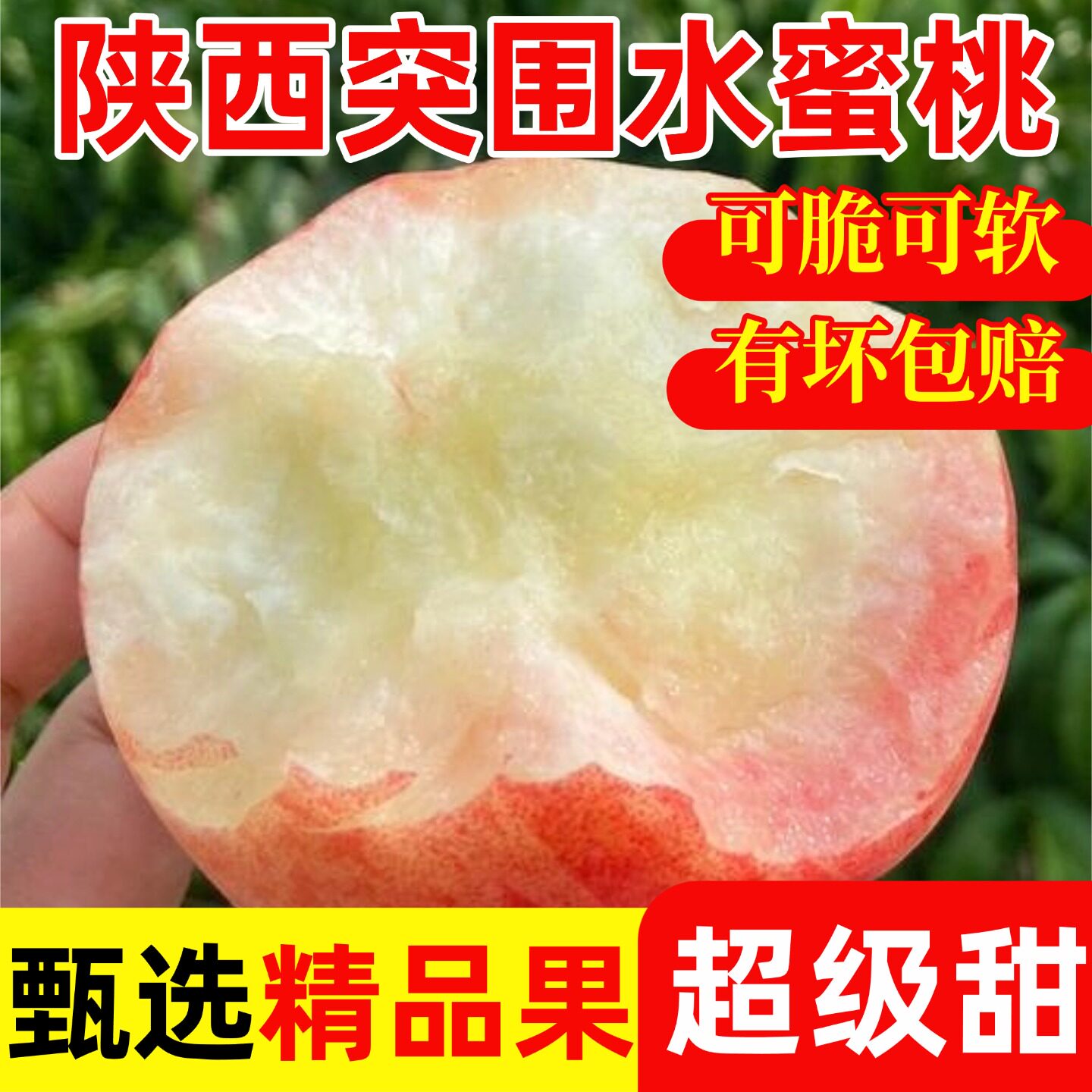 【源头好货】2026陕西纯甜水蜜桃