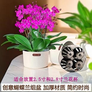 2.5寸3株2.8寸4棵蝴蝶兰组盆专用神器圆形高颜值加厚储水透气花盆