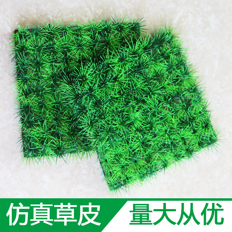 仿真植物草坪壁挂橱窗红酒架展柜装饰水果方形塑料垫子可拆假草皮,鲜花速递/花卉仿真/绿植园艺,仿真绿植,淘宝优惠券,粉丝福利购,淘宝优惠卷