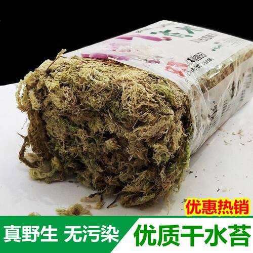 天然干水苔石斛蝴蝶兰花食虫草捕蝇草猪笼草多肉水陆缸种植苔藓土