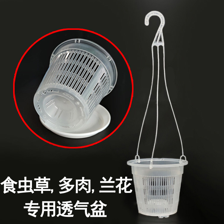 蝴蝶兰树脂防烂根透气养根网格盆图片
