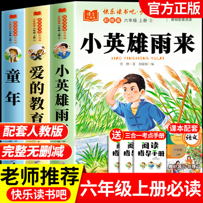 小英雄雨来六年级上册必读