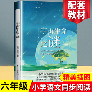 官方正版 宇宙生命之谜张申碚赵晓梅著六年级课外书必读经典 指定书目小学生语文教科书同步阅读书籍适合6年级科普名师指导