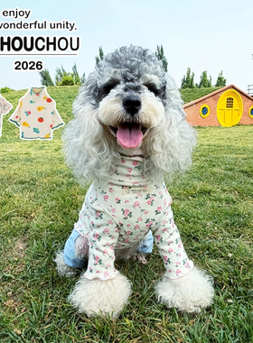 丑丑小型犬狗衣服2026新款长袖打底衫韩国面料制作泰迪雪纳瑞比熊