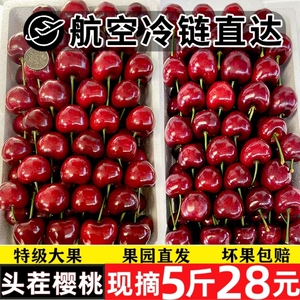5A山东烟台美早大樱桃特大5斤
