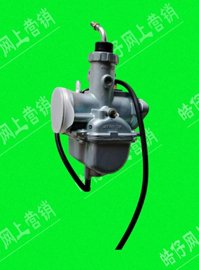 适用轻骑铃木GT125骏驰QS125-5CFEGH 欧二拉线风门柱塞原装化油器