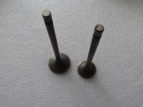 适用建设雅马哈 劲虎SR150 劲豹150 SRZ150气门 JYM150-3气门组合