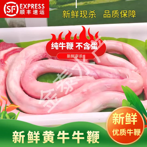 散养黄牛牛鞭新鲜整根牛鞭补肾王
