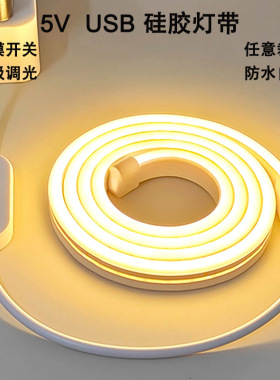 USB灯带5V低压柔性霓虹硅胶灯条防水led化妆镜床头电视背景氛围灯