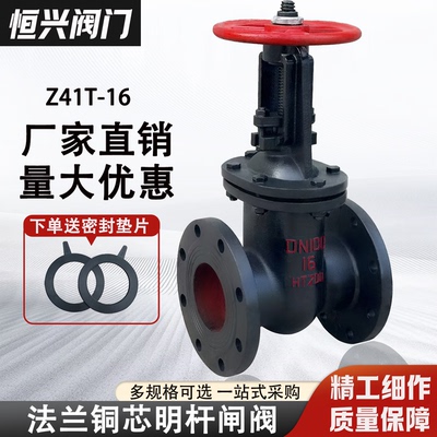 明杆法兰闸阀手动铸铁闸板阀